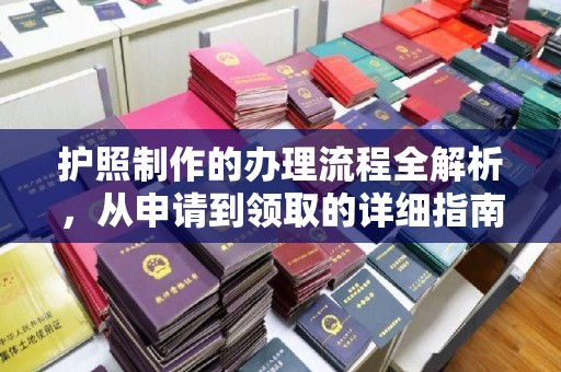 东丽护照制作的办理流程全解析，从申请到领取的详细指南