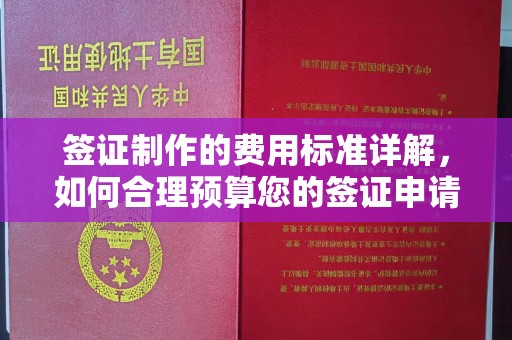 浚县签证制作的费用标准详解，如何合理预算您的签证申请成本
